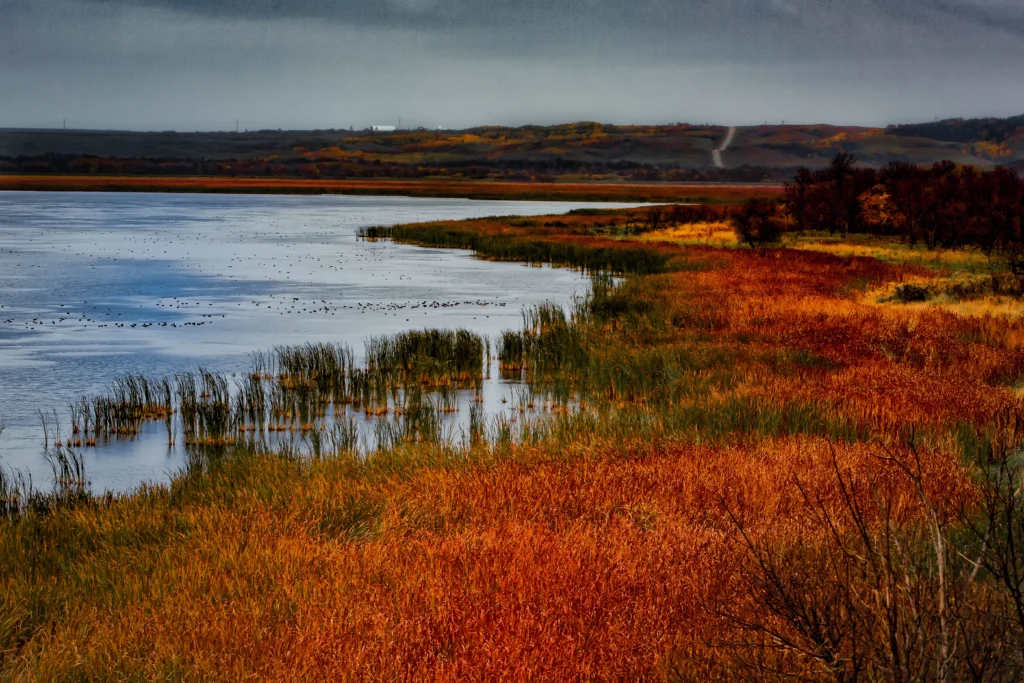 Photo 2015-10-03, 16 03 21