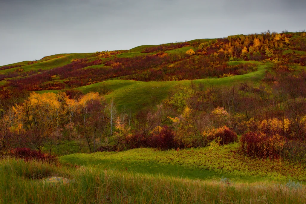 Photo 2015-10-03, 16 36 34