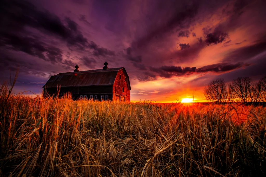 Photo 2016-09-10, 19 06 14