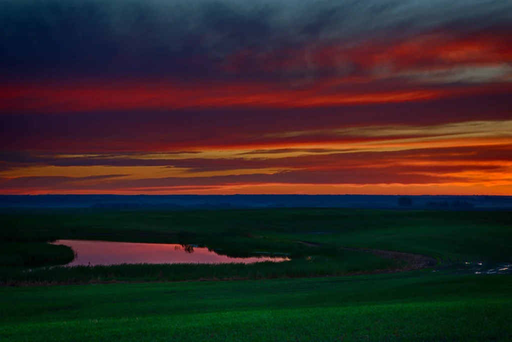 Photo 2017-06-09, 21 06 38