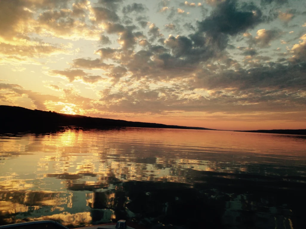 Photo 2017-08-22, 19 55 50